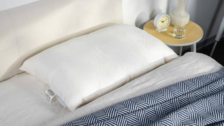 Best Pillows of 2025 - Best Luxury - Cozy Earth Silk Pillow