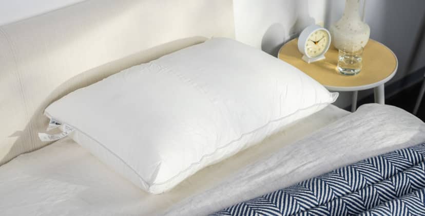 Best Pillows of 2025 - Best for Neck Pain - Sweet Zzz Plant-Based Pillow