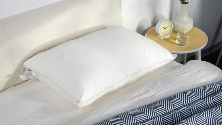 Best Pillows for Neck Pain - Best for Spinal Alignment - Sweet Zzz Plant-Based Pillow