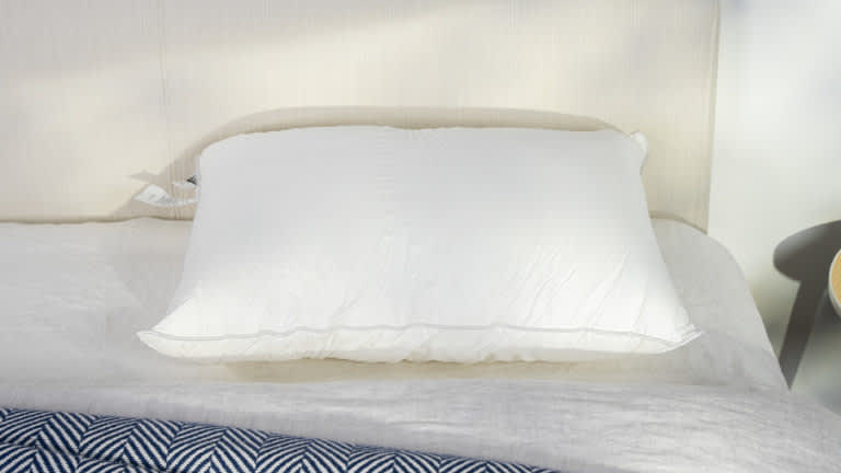 Best Pillows of 2025 - Best for Neck Pain - Sweet Zzz Plant-Based Pillow